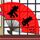 汉武大帝